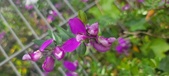 Enlarge photo 351