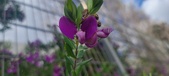 Enlarge photo 352