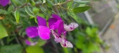 Enlarge photo 353