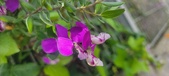 Enlarge photo 354