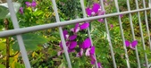 Enlarge photo 357