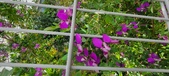 Enlarge photo 359