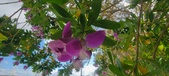 Enlarge photo 366