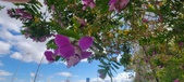 Enlarge photo 367