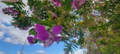 Enlarge photo 368