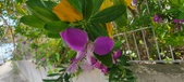 Enlarge photo 371
