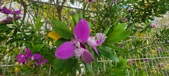 Enlarge photo 373