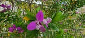 Enlarge photo 374