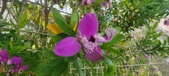 Enlarge photo 377