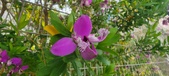 Enlarge photo 378