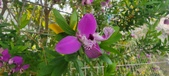 Enlarge photo 379