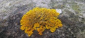 Enlarge photo 382