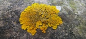 Enlarge photo 383