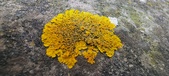 Enlarge photo 384
