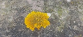 Enlarge photo 385