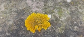 Enlarge photo 386
