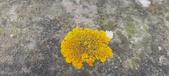 Enlarge photo 387