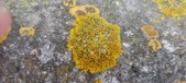 Enlarge photo 389