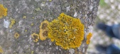 Enlarge photo 392