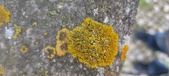 Enlarge photo 393