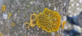 Enlarge photo 394