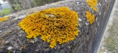 Enlarge photo 398