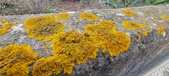 Enlarge photo 399
