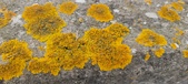 Enlarge photo 401