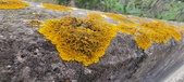 Enlarge photo 410