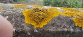 Enlarge photo 412