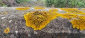 Enlarge photo 413