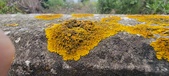 Enlarge photo 414