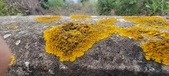 Enlarge photo 415