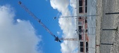 Enlarge photo 431