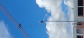Enlarge photo 433