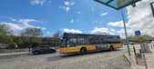 Enlarge photo 445