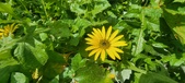 Enlarge photo 450