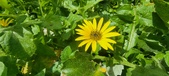 Enlarge photo 451