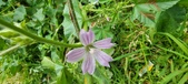 Enlarge photo 461