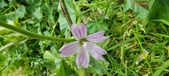 Enlarge photo 460
