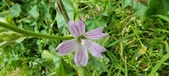 Enlarge photo 459