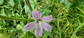 Enlarge photo 458