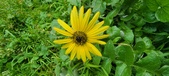 Enlarge photo 465