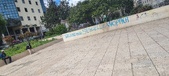 Enlarge photo 485