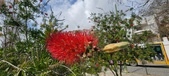 Enlarge photo 26