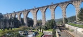 Enlarge photo 87