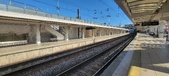 Enlarge photo 96