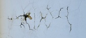 Enlarge photo 125