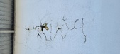 Enlarge photo 126