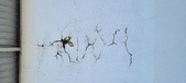 Enlarge photo 127